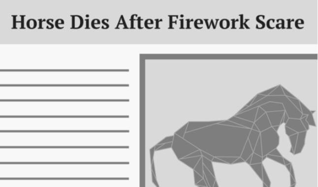 Horse dies after another firework scare