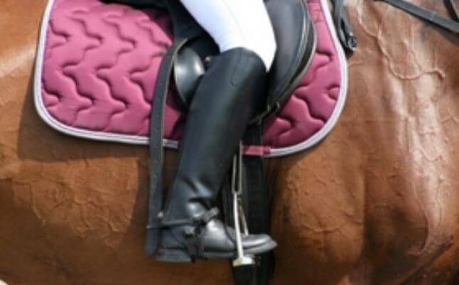 Controversy as overweight horse riders may be asked to dismount