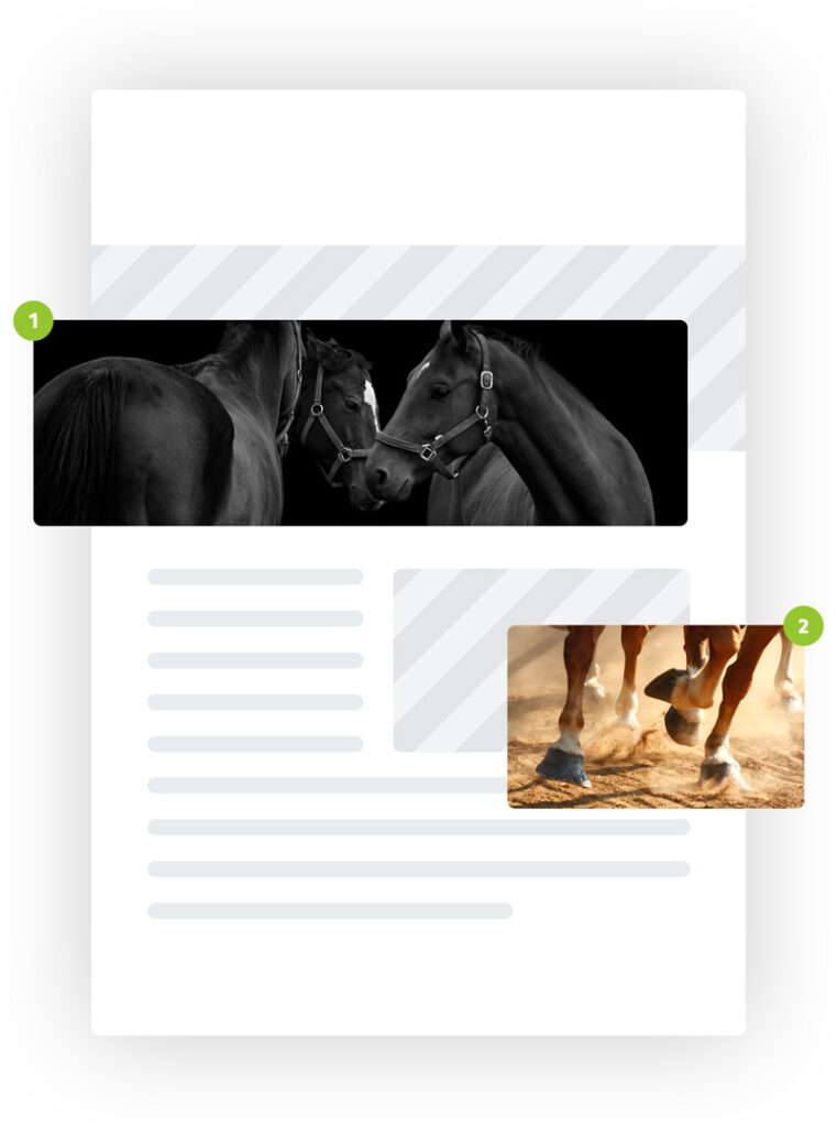 Mockup showing the placement of different images in an email