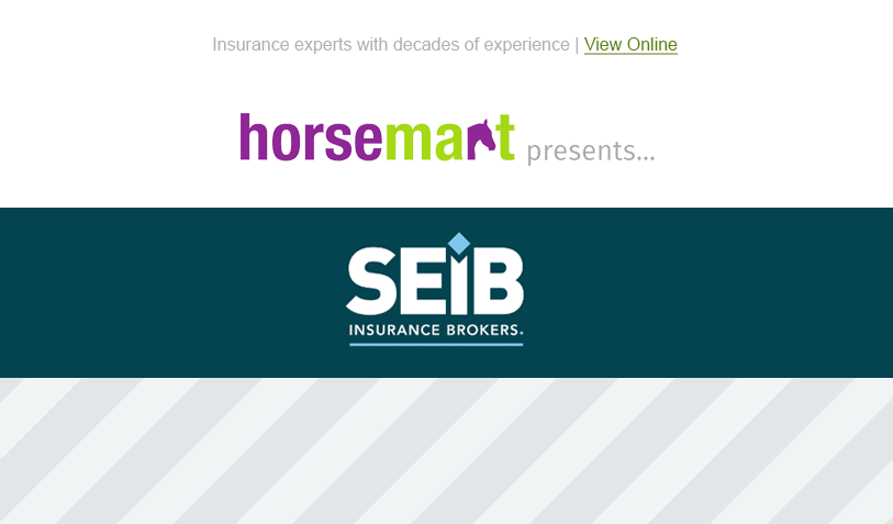 Example of where a business logo sits at the top of an email