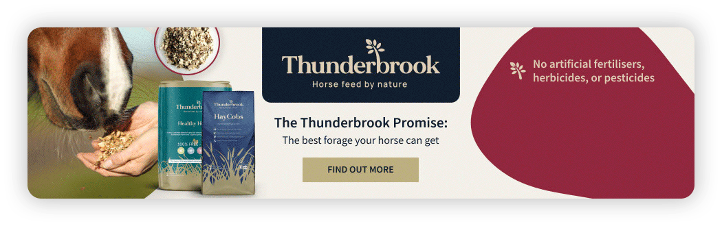 Example banner after design amendments