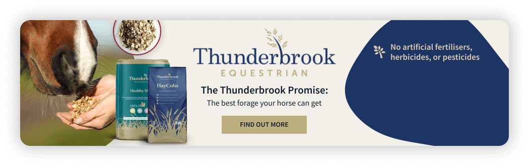 Example banner before design amendments