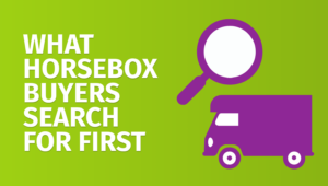 What horsebox buyers search for first