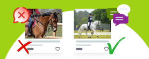 Why Some Horses Sell Fast — and Others Don’t