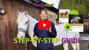 step-by-step guide