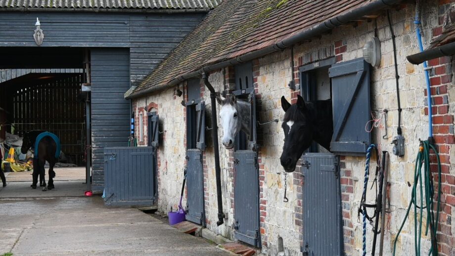 Horses in stables on a yard